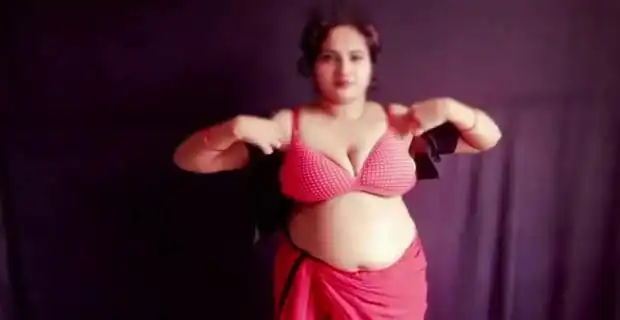हिंदी – सेक्सी हिंदी पोर्न  भाभी के बूब्स दबाकर चुदाई